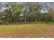Large, private backyard with green grass and mature trees at 749 Cassadaga Rd, Lake Helen, FL 32744