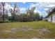 Spacious backyard with healthy lawn, mature trees, and plenty of room for outdoor activities and gardening at 818 W Pennsylvania Ave, Deland, FL 32720