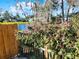 Charming backyard view with a fence, lush greenery, and a glimpse of the tranquil lake at 1118 Meditation Loop, Port Orange, FL 32129