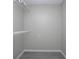Walk-in closet with gray wood-look floors and coated metal shelving at 2841 Idleweise Dr, Deltona, FL 32738