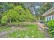 Large fruit tree in backyard at 509 Osprey Ln, Winter Springs, FL 32708