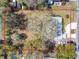 Overhead view of the property lines showcasing large lot with mature trees, home and driveway at 61 West Highbanks, Debary, FL 32713