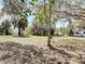 Large backyard with mature trees providing ample shade and privacy on a sunny day at 61 West Highbanks, Debary, FL 32713