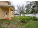 Spacious backyard featuring lush ferns and providing ample space for outdoor activities at 926 Sycamore St, Daytona Beach, FL 32114