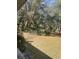 Spacious, tree-lined backyard with a chain-link fence and lush green grass at 961 Oakwood Rd, Orange City, FL 32763