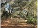 Fenced backyard provides privacy with lush trees and greenery in a relaxed outdoor setting at 961 Oakwood Rd, Orange City, FL 32763