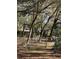 Fenced backyard area with mature trees and lush vegetation, offering a private outdoor space at 961 Oakwood Rd, Orange City, FL 32763