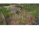 Birds eye view of a backyard featuring banana trees and a partial view of a beautiful lake at 1576 Naples Cir, Deltona, FL 32738