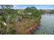 Birds eye view of a backyard featuring banana trees and a partial view of a beautiful lake at 1576 Naples Cir, Deltona, FL 32738