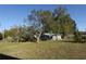 Large backyard with mature trees and a chain link fence at 1013 Matterhorn St, Deltona, FL 32725