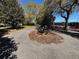 Charming community picnic area with benches nestled among mature trees, perfect for relaxing or casual gatherings at 1341 Hayton Ave, Deland, FL 32724