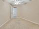 Neutral-toned bedroom featuring cozy carpet flooring, a ceiling fan, and a door leading to other parts of the home at 1491 W Silver Hammock, Deland, FL 32720