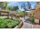 Backyard area with lush plantings at 230 White Dove Ave, Orange City, FL 32763