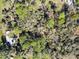 The aerial view of the property showcases lush green trees and the surrounding well-maintained properties at 4282 Alice St, Edgewater, FL 32141