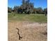 View of lush open pasture land at 485 Dickson Ave, Osteen, FL 32764