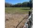 Lush and open pasture land with partial fencing at 485 Dickson Ave, Osteen, FL 32764