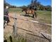 Horse in a field with wooden fence at 485 Dickson Ave, Osteen, FL 32764