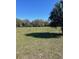 Large property with mature trees at 485 Dickson Ave, Osteen, FL 32764