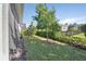 Well-maintained backyard featuring lush greenery, ornamental tree, and privacy hedge at 1079 Lincolnshire Dr, Deland, FL 32724