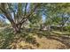 Backyard area with large tree and an outdoor shed at 1058 W Seagate Dr, Deltona, FL 32725