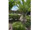 Community pool with a black fence surrounded by shady trees at 1812 Leather Fern Dr, Ocoee, FL 34761