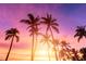 Tall palm trees silhouetted against a vibrant sunset sky with shades of purple, orange, and yellow at 1900 N Atlantic Ave # 504, Daytona Beach, FL 32118