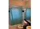 Bathroom featuring a colorful patterned shower curtain, toilet and vanity with sink at 4164 New Marsh Rd, Deland, FL 32724