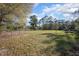 Expansive green field with scattered trees at 600 Tabatha Dr, Osteen, FL 32764