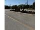 A community sign and landscaping mark the entrance to Wesmere at 1812 Leather Fern Dr, Ocoee, FL 34761