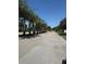 Straight paved street with palm trees in a residential community with a sidewalk at 1812 Leather Fern Dr, Ocoee, FL 34761
