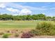 Scenic golf course with manicured lawns, blooming flowers, and mature trees under a blue sky at 1422 Carlow Cir, Ormond Beach, FL 32174