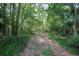 Scenic view of a lush, wooded property with a natural canopy of trees at 26 E Kelly Park Rd, Apopka, FL 32712