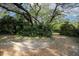 Scenic wooded property featuring mature trees and lush greenery creating a tranquil setting at 26 E Kelly Park Rd, Apopka, FL 32712