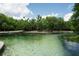 Clear waters with lush greenery and sandy areas, inviting outdoor recreation at 26 E Kelly Park Rd, Apopka, FL 32712
