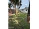 Lush backyard with palm trees, grass, and a glimpse of the home's exterior in a serene outdoor setting at 354 Georgetown Dr, Daytona Beach, FL 32118