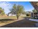 Spacious fenced backyard with a large lawn, trees, a screened porch and a house with grey siding at 723 Pelican Ct, Kissimmee, FL 34759