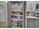 Walk in pantry shows ample storage space with shelving and gray/white cabinets at 725 Briarcrest Dr, Orange City, FL 32763