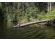 Scenic water view showcasing a turtle and a heron perched on a log in a lush, natural setting at 120 Black Duck Cir, Daytona Beach, FL 32119