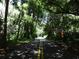 Shaded driveway winding through lush greenery, creating a serene and private entrance at 1490 Kettledrum Trl, Enterprise, FL 32725