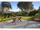Serene backyard features a patio and expansive green space with mature trees at 1540 Park Forest Blvd, Mount Dora, FL 32757