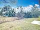 Backyard view featuring an expansive lawn and numerous mature trees and shrubbery at 1820 18Th St, Orange City, FL 32763