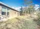A view of the house's backyard featuring an expansive lawn and numerous trees and shrubbery at 1820 18Th St, Orange City, FL 32763