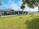 Lush backyard featuring green grass, tropical palm trees, and manicured landscaping at 209 Oak Branch Drive, Edgewater, FL 32141