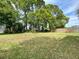Grassy backyard featuring mature trees and a wooded border at 209 Oak Branch Drive, Edgewater, FL 32141