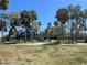 Community playground with modern blue play structure surrounded by lush palm trees at 2200 S Palmetto Ave # C040, Daytona Beach, FL 32119