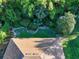 Aerial view of the backyard showcasing lush greenery, mature trees, and meticulous landscaping at 232 Westchester Dr, Deland, FL 32724