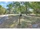A black mailbox with the numbers 321 stands beneath shade trees near a home surrounded by nature at 321 Wade Ave, Deland, FL 32724