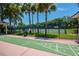 Outdoor shuffleboard court with palm trees and tennis court in the background for community fun at 811 Smokerise Blvd, Port Orange, FL 32127