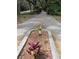 Scenic pathway with lush plants and foliage surrounding the walking route at 190 Hickory Woods Ct # 15C, Deltona, FL 32725
