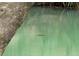 View of wildlife swimming in the community pool, a natural turtle habitat at 190 Hickory Woods Ct # 15C, Deltona, FL 32725